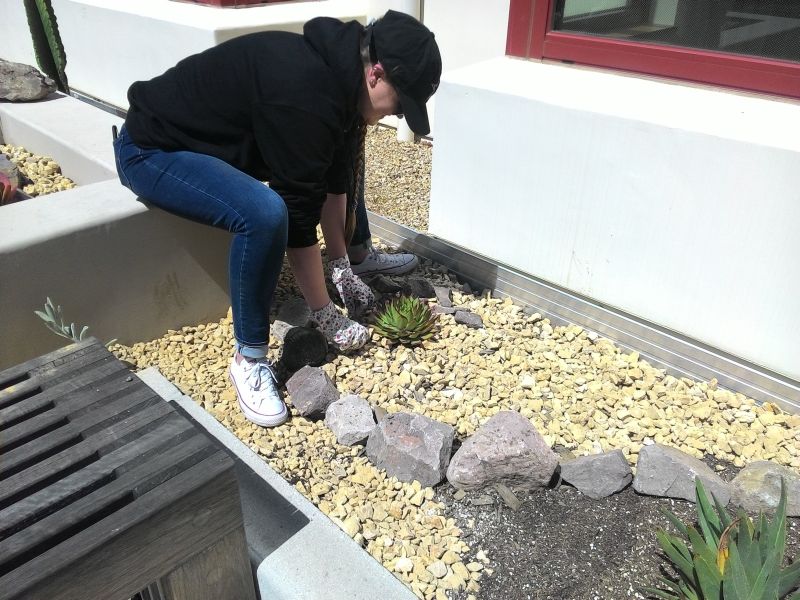 a student planting