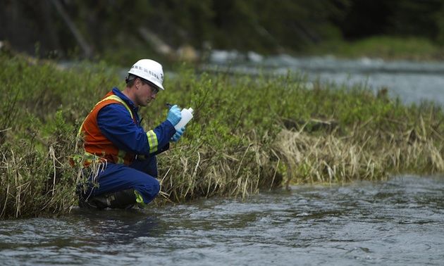 Environmental chemist