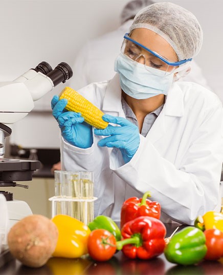 food scientist