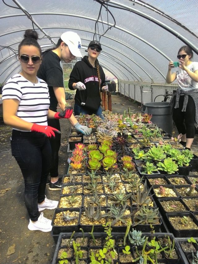 students gathering plants for the garden