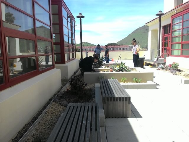 students planting in the garden